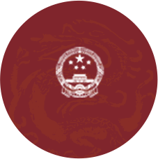 政府公开信息查询